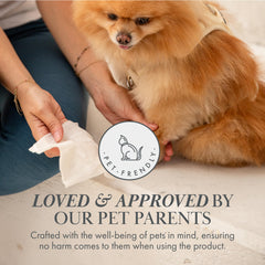 Nina Woof dog wipes paws-clean action during muddy walk.