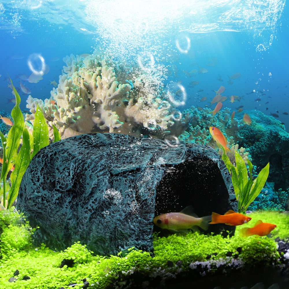 nine-nine-world-mall terrarium decoration setup demonstrates versatile habitat enrichment
