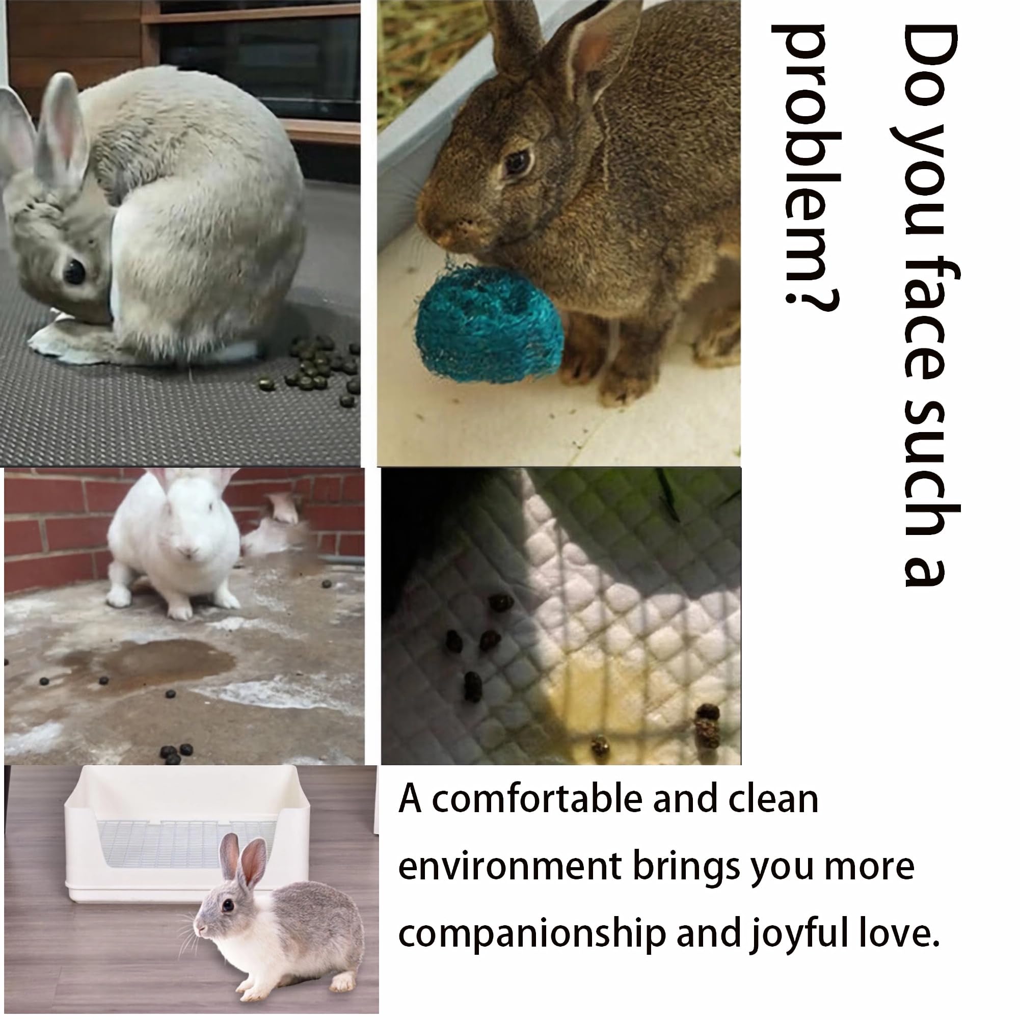 NINGVIHE odor-control litter pan supports hygienic, easy maintenance