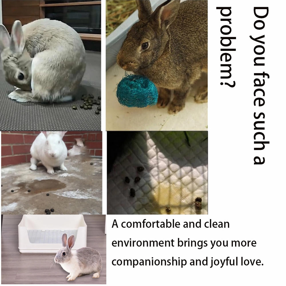 NINGVIHE odor-control litter pan supports hygienic, easy maintenance