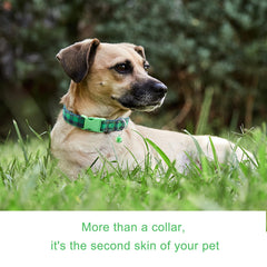 NISIYE plaid dog collar ideal for daily walks and cute photos