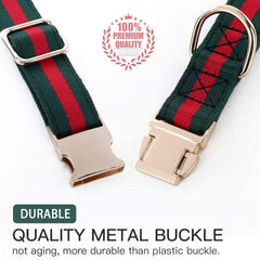 NISIYE metal buckle close-up emphasizes secure closure for active dogs.