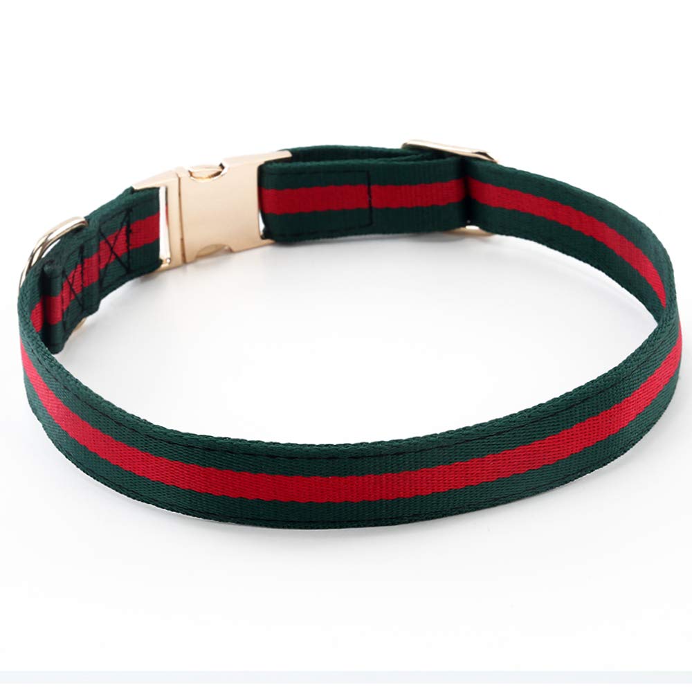NISIYE premium dog collar on dog demonstrates elegant daily wear and safety.