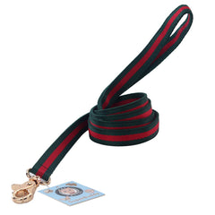 NISIYE premium dog leash shown at 5ft length for balanced control during training.