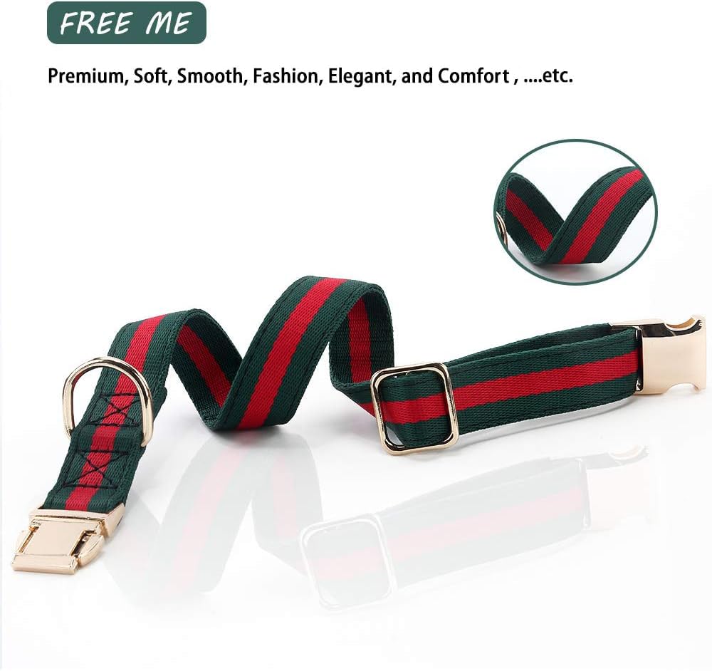 NISIYE premium dog leash 5ft with metal buckle shows secure control.