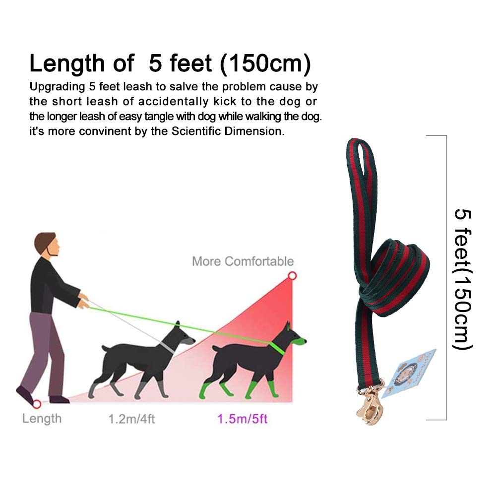 NISIYE premium leash packaged in a gift-ready box for stylish gifting.