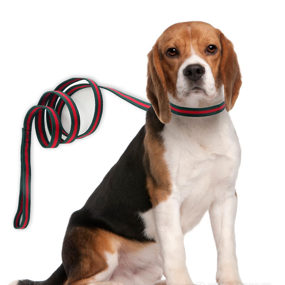 NISIYE rotating metal clasp dog leash demonstrates reliable tangle-free attachment.