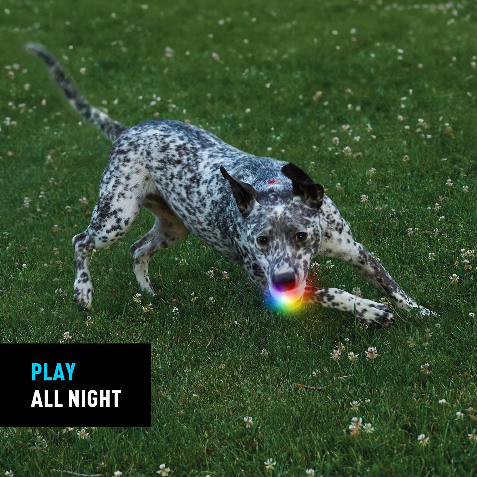 Nite Ize GlowStreak is launcher-compatible for extended fetch sessions