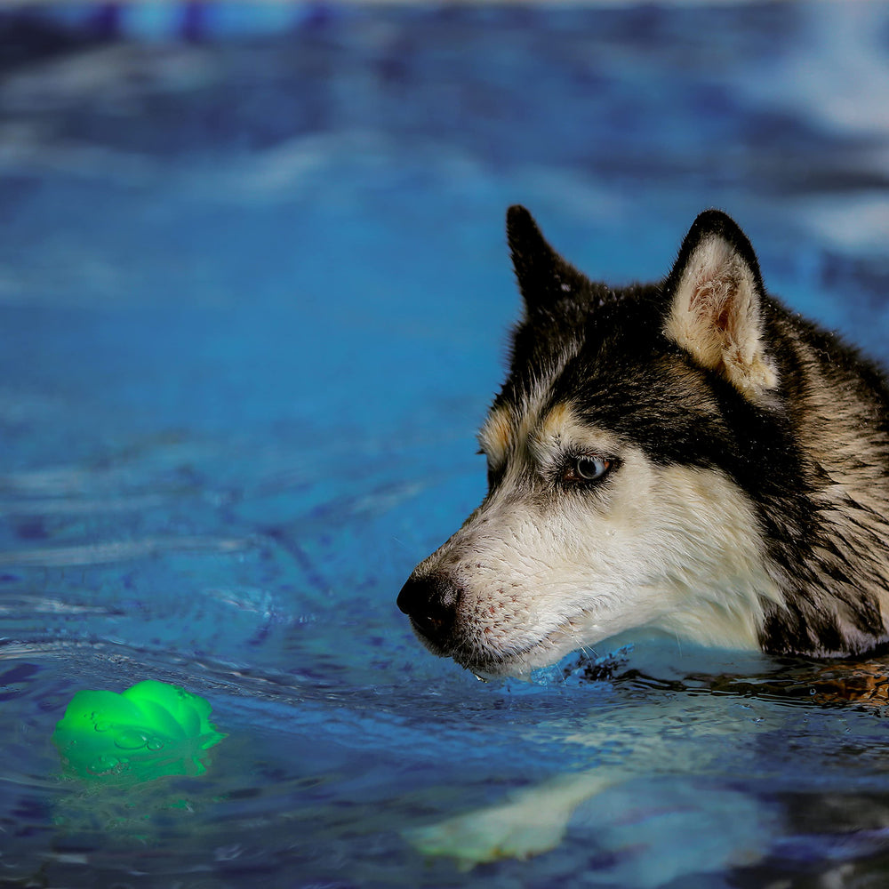 Nite Ize GlowStreak Ball runs up to 35 hours on replaceable batteries.