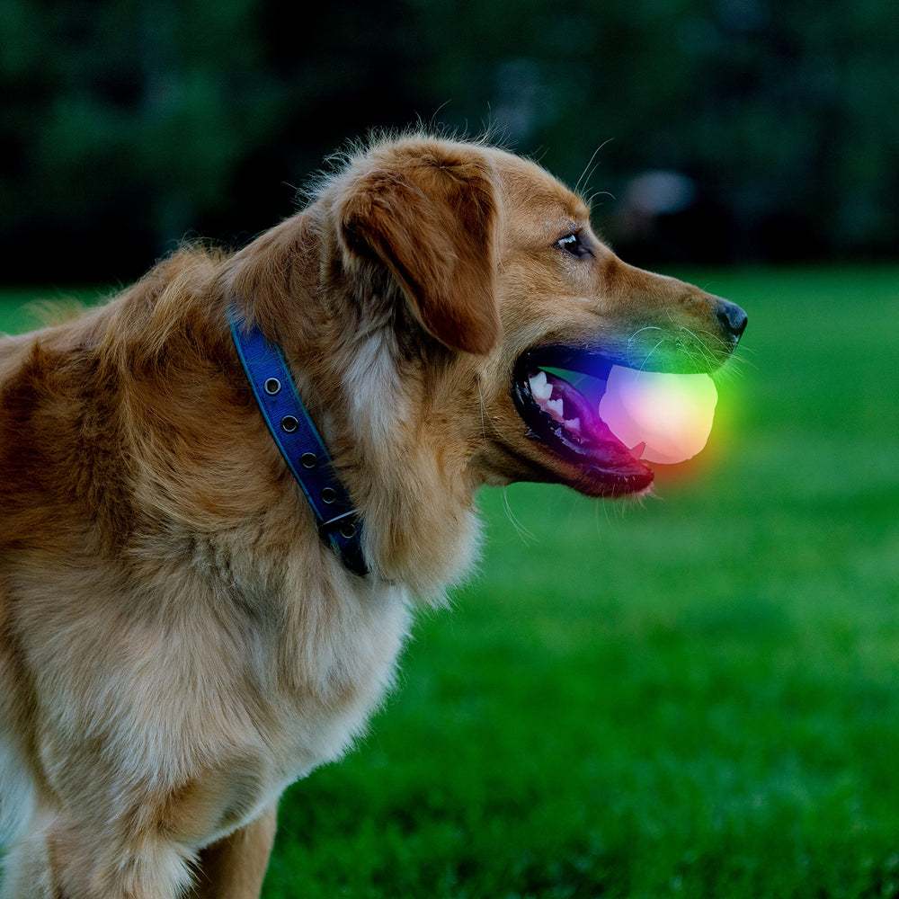 Nite Ize GlowStreak Ball is bite-friendly, waterproof, and floats for water play.