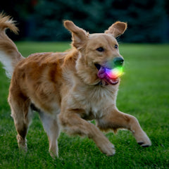 Nite Ize GlowStreak Disc-O LEDs glow colorfully for after-dark visibility.
