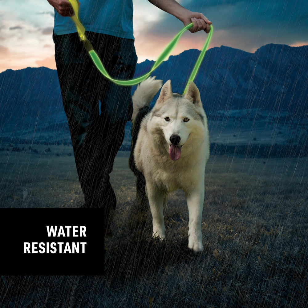 Nite Ize NiteDog LED leash compact rechargeable design for travel.