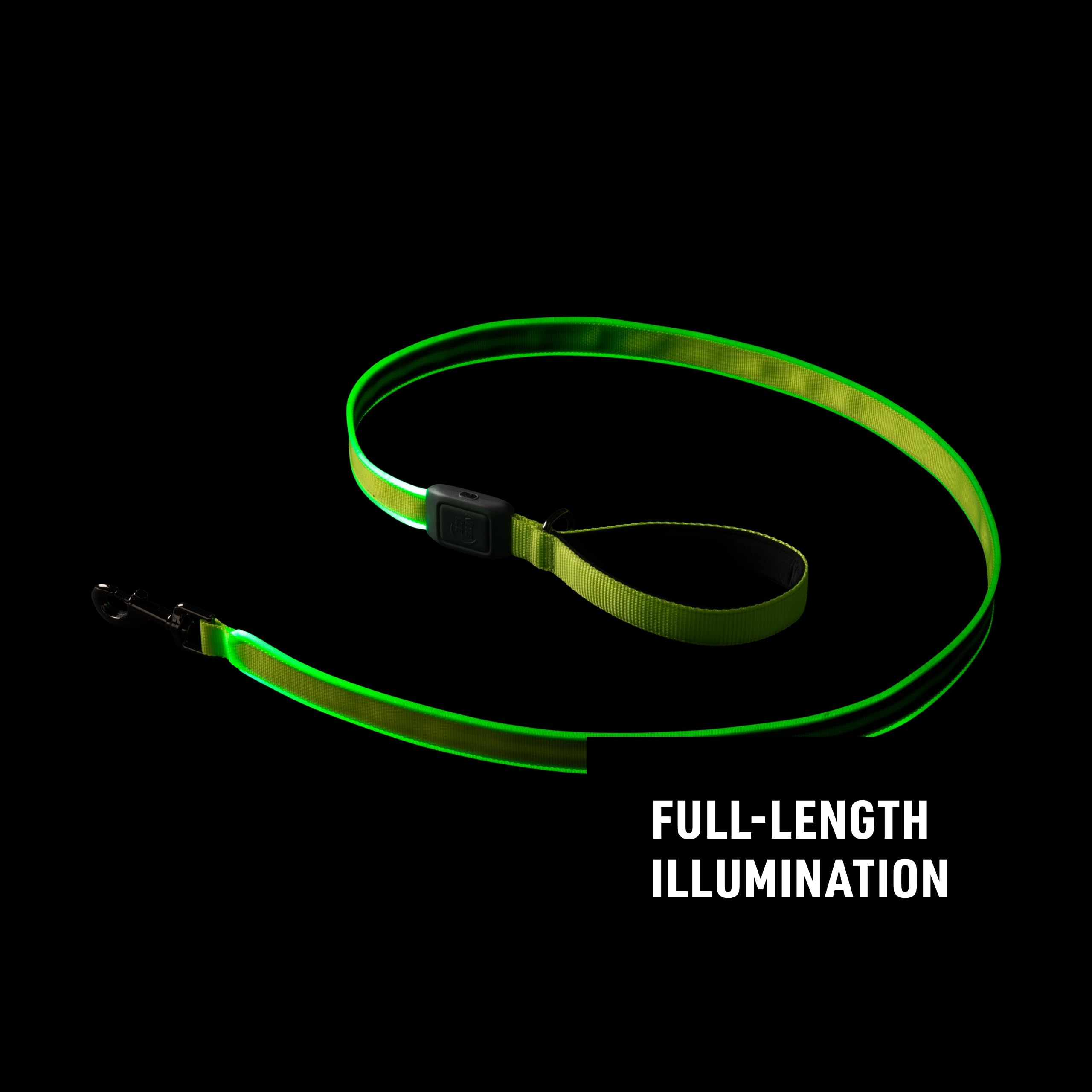Nite Ize NiteDog LED leash close-up showing recharge indicator and power efficiency.