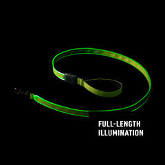 Nite Ize NiteDog LED leash close-up showing recharge indicator and power efficiency.