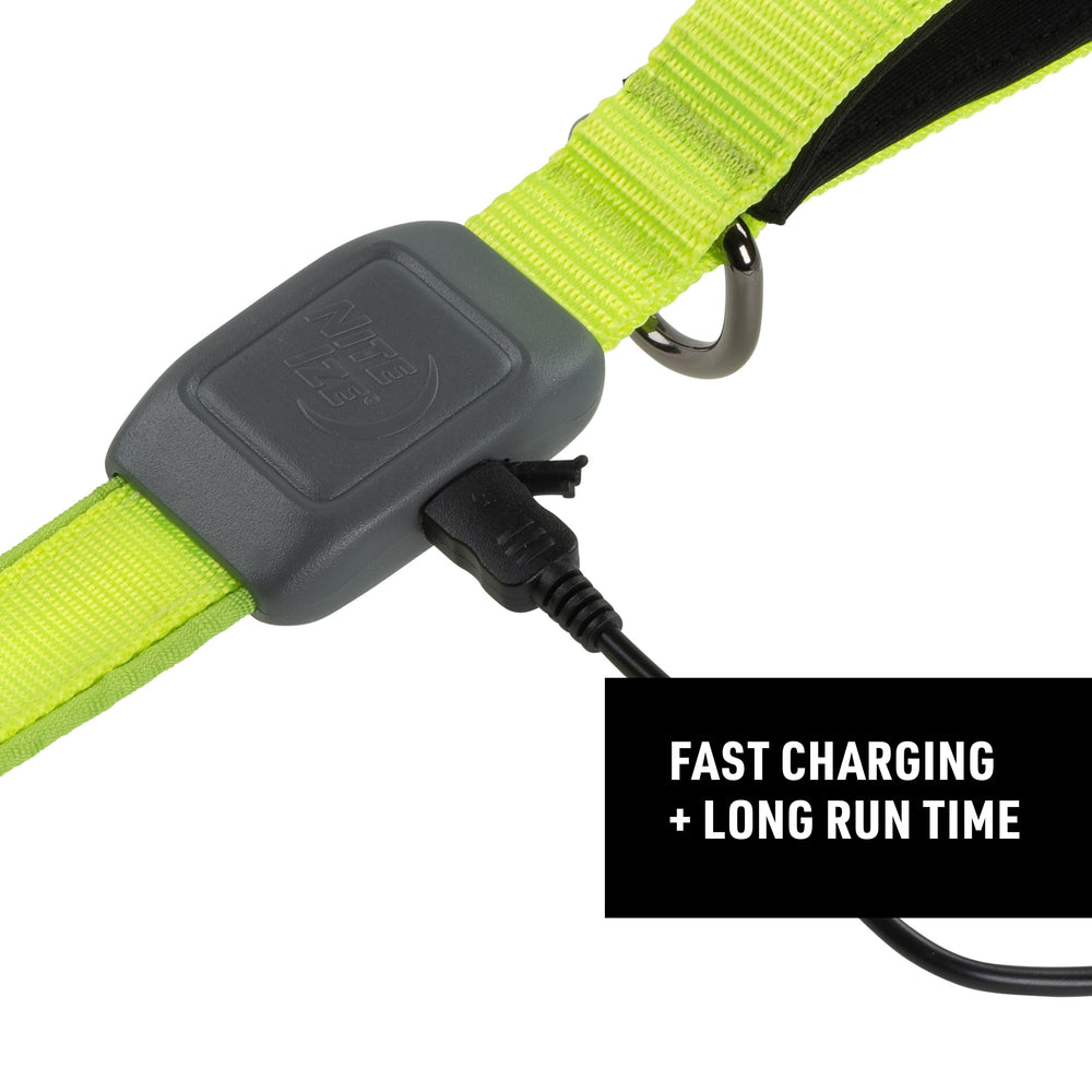 Nite Ize NiteDog LED leash water-resistant design for variable weather.