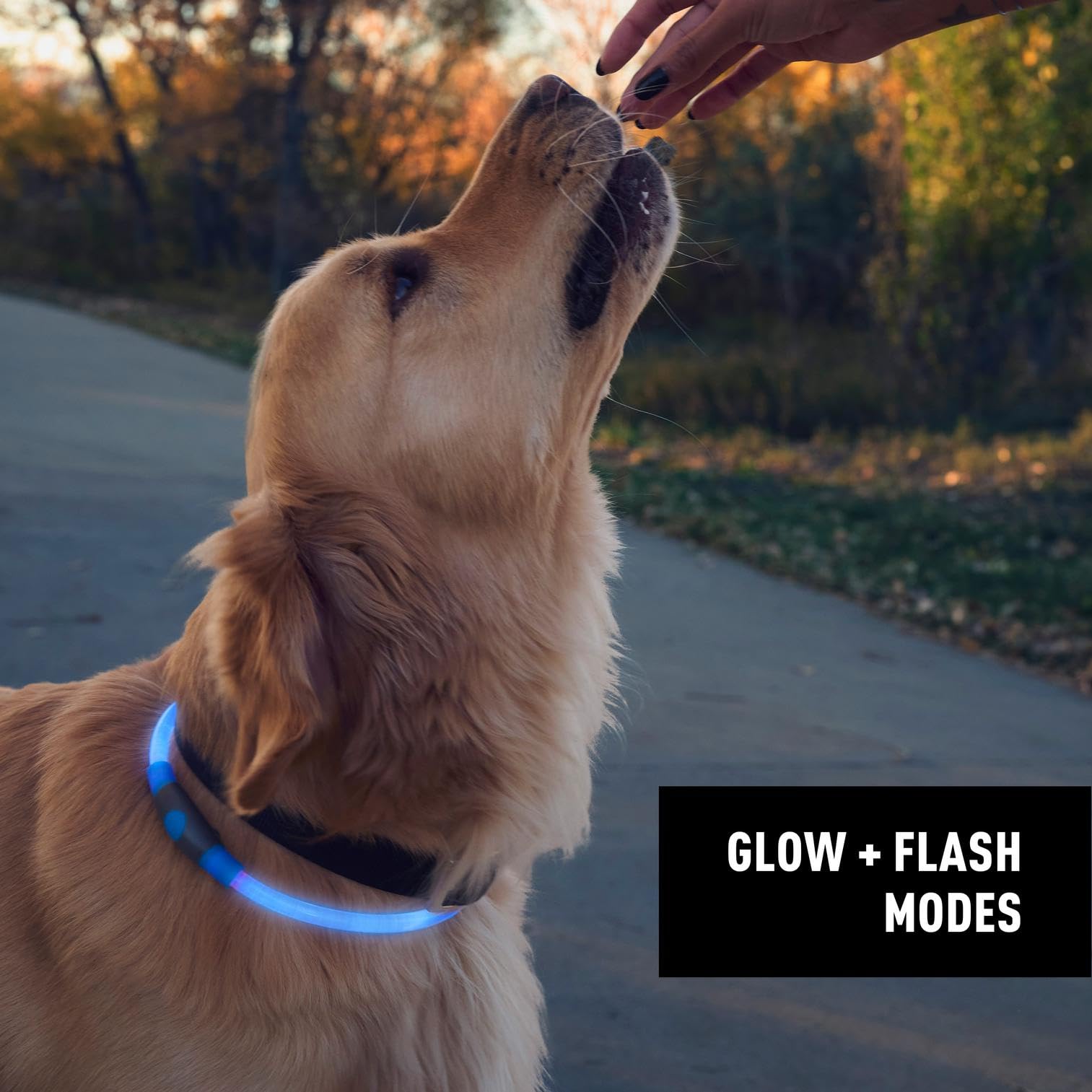 NiteHowl delivers up to 5 hours of continuous light for safer night walks.