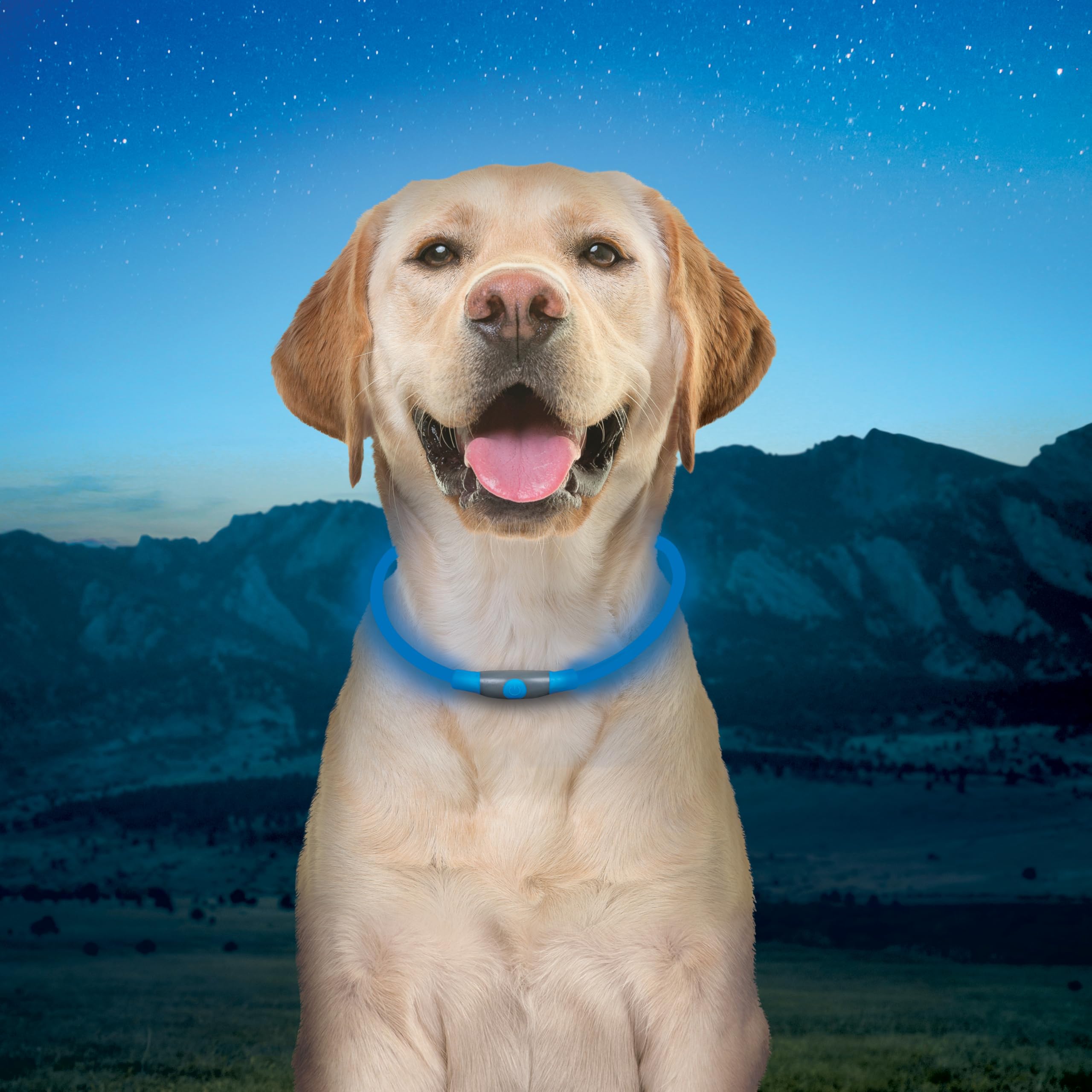 NiteHowl easily slides over your dog's neck for quick, comfortable wear.