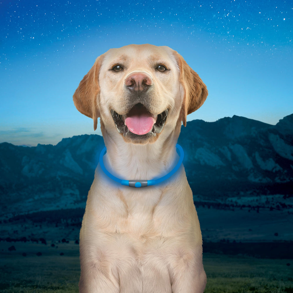 NiteHowl easily slides over your dog's neck for quick, comfortable wear.