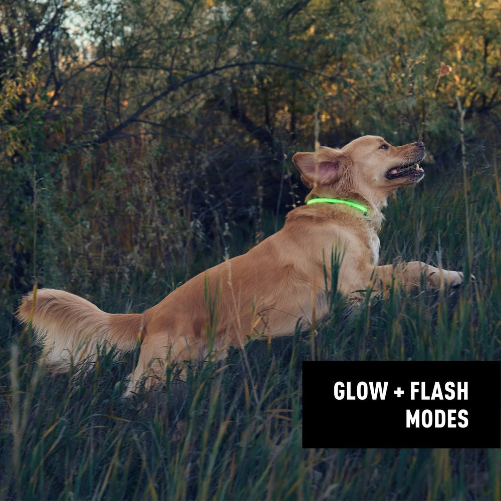 NiteHowl necklace in flash mode increases distance visibility during night walks.