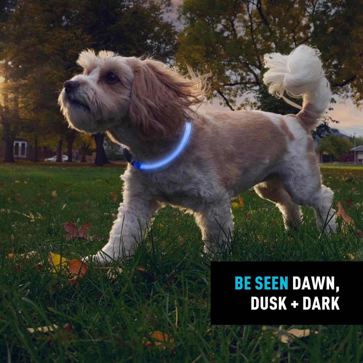 NiteHowl weather-resistant housing withstands rain and outdoor conditions during late-evening outings.
