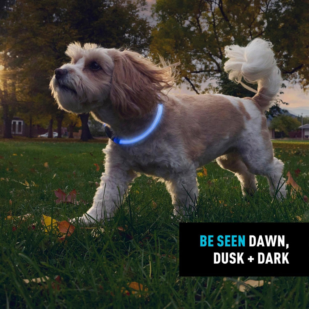 NiteHowl weather-resistant housing withstands rain and outdoor conditions during late-evening outings.