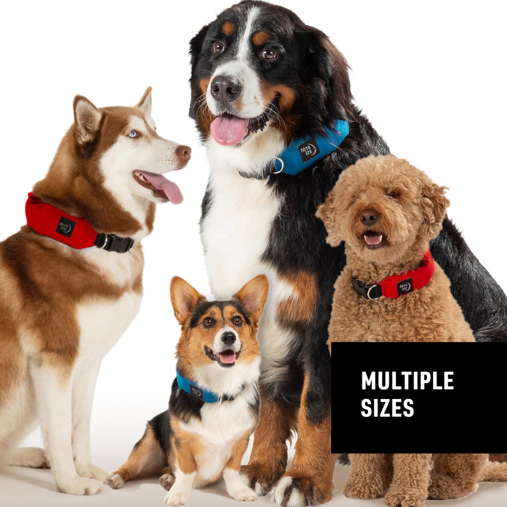 Nite Ize Raddog all-in-one design supports on- and off-leash activities.