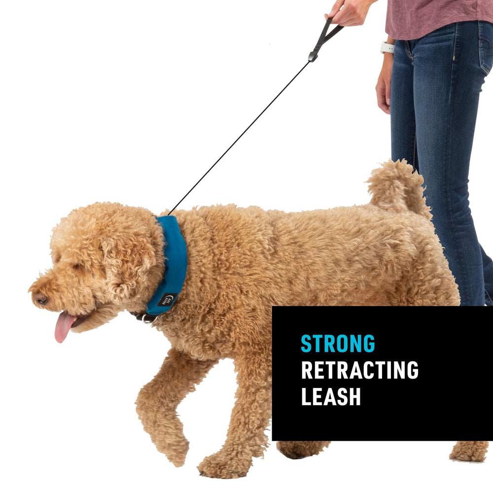 Nite Ize Raddog metal D-ring for reliable leash attachment.