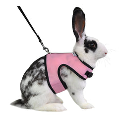 Niteangel adjustable soft harness on a rabbit for secure daily wear.