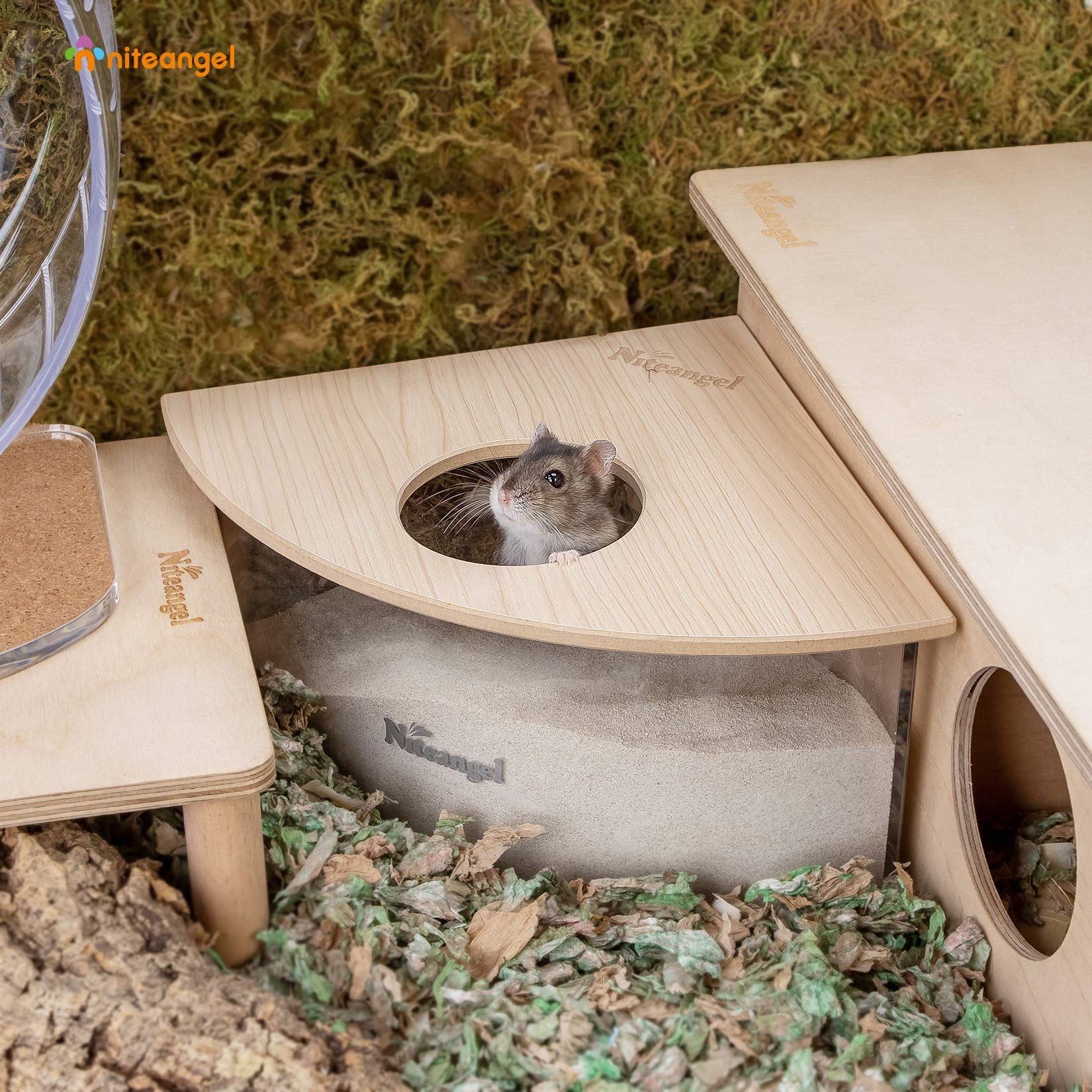 Niteangel animal sand-bath box dimensions fit mid-sized rodent habitats