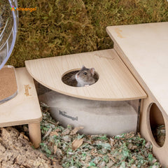 Niteangel animal sand-bath box dimensions fit mid-sized rodent habitats