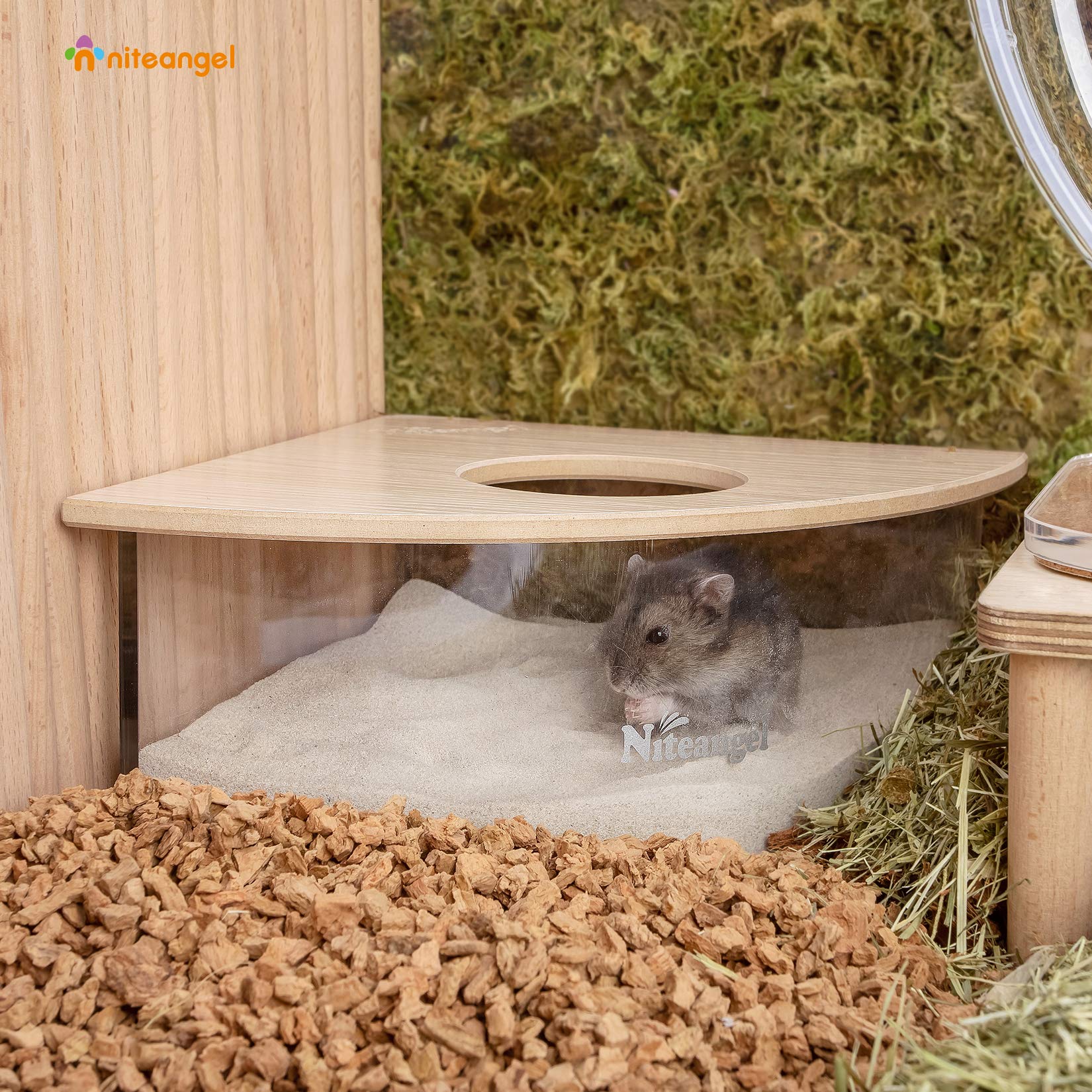 Niteangel animal sand-bath box lid view shows transparent acrylic and reduced spill