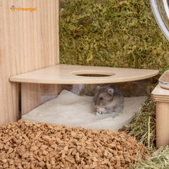 Niteangel animal sand-bath box lid view shows transparent acrylic and reduced spill