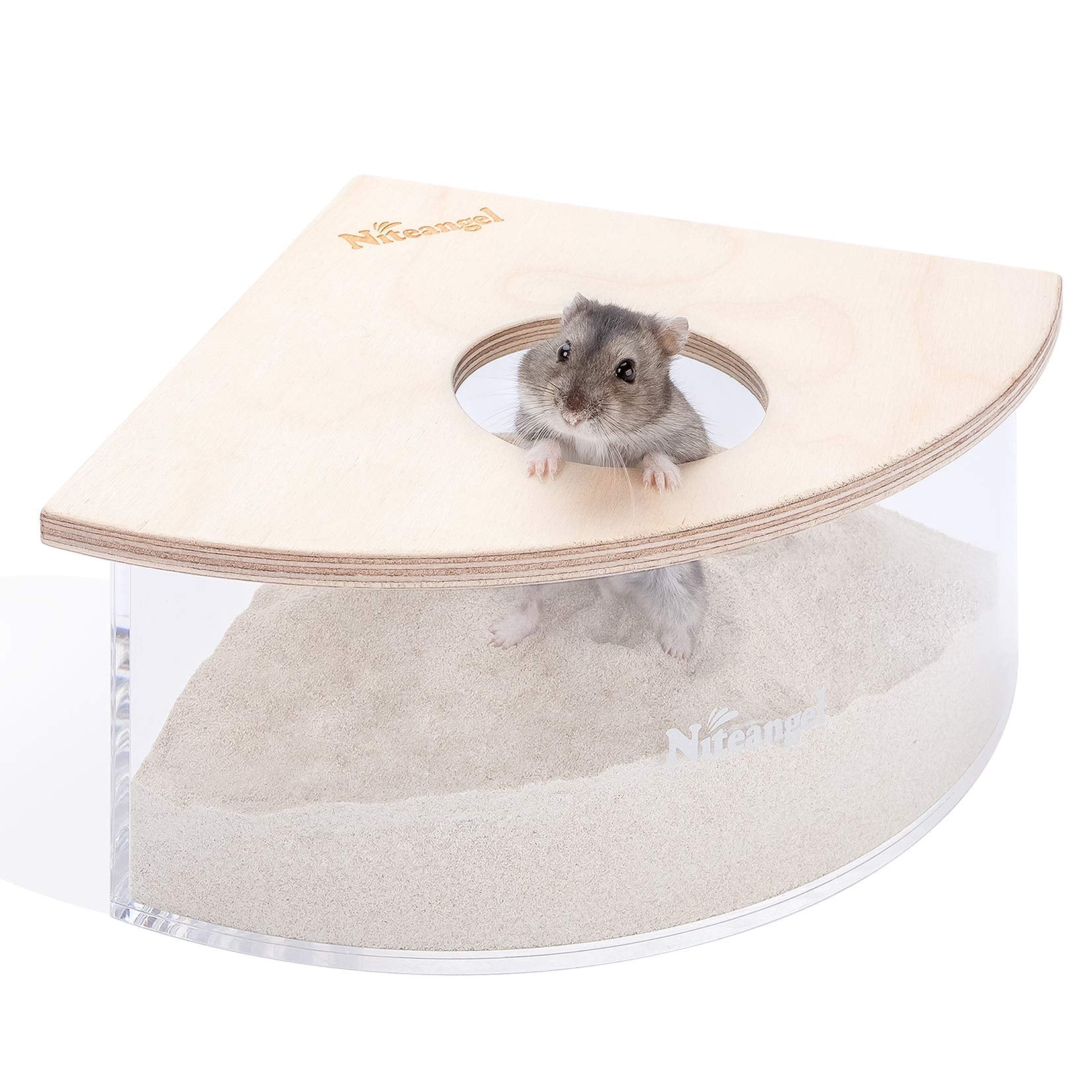Niteangel Animal Sand-Bath Box triangle acrylic lid view for easy observation during bath time.