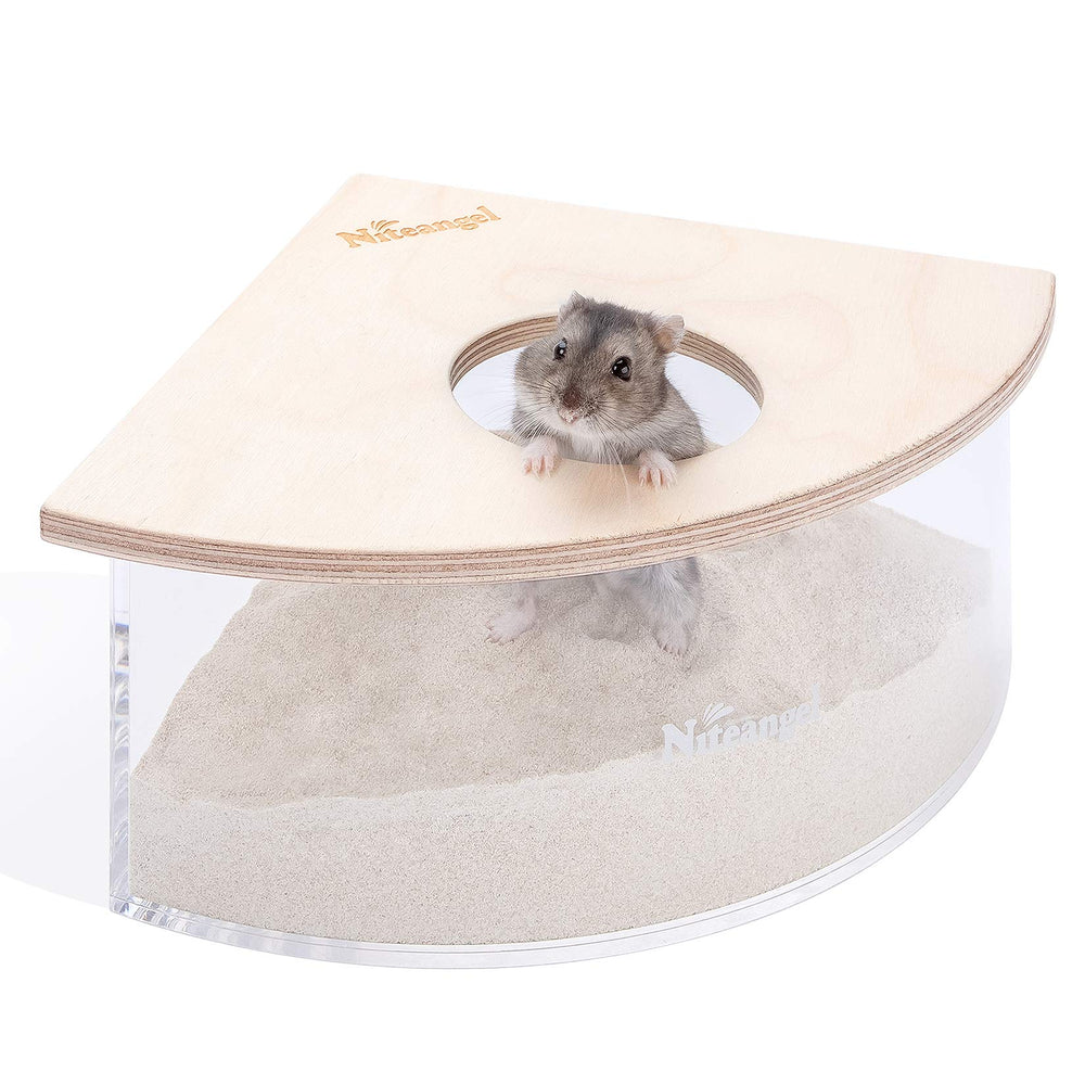 Niteangel Animal Sand-Bath Box triangle acrylic lid view for easy observation during bath time.