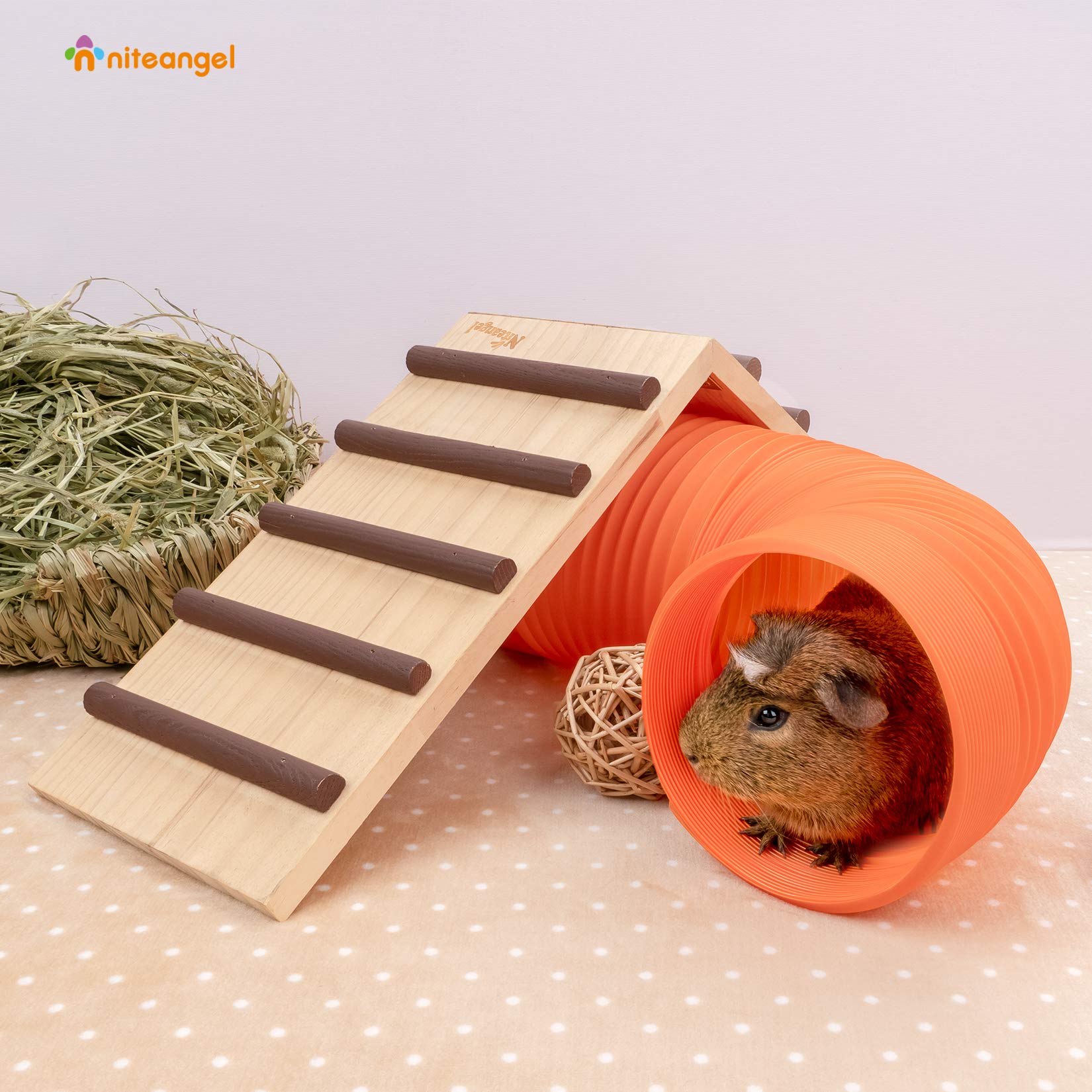 Niteangel ball toys 3-pack enable interactive play and exploring.