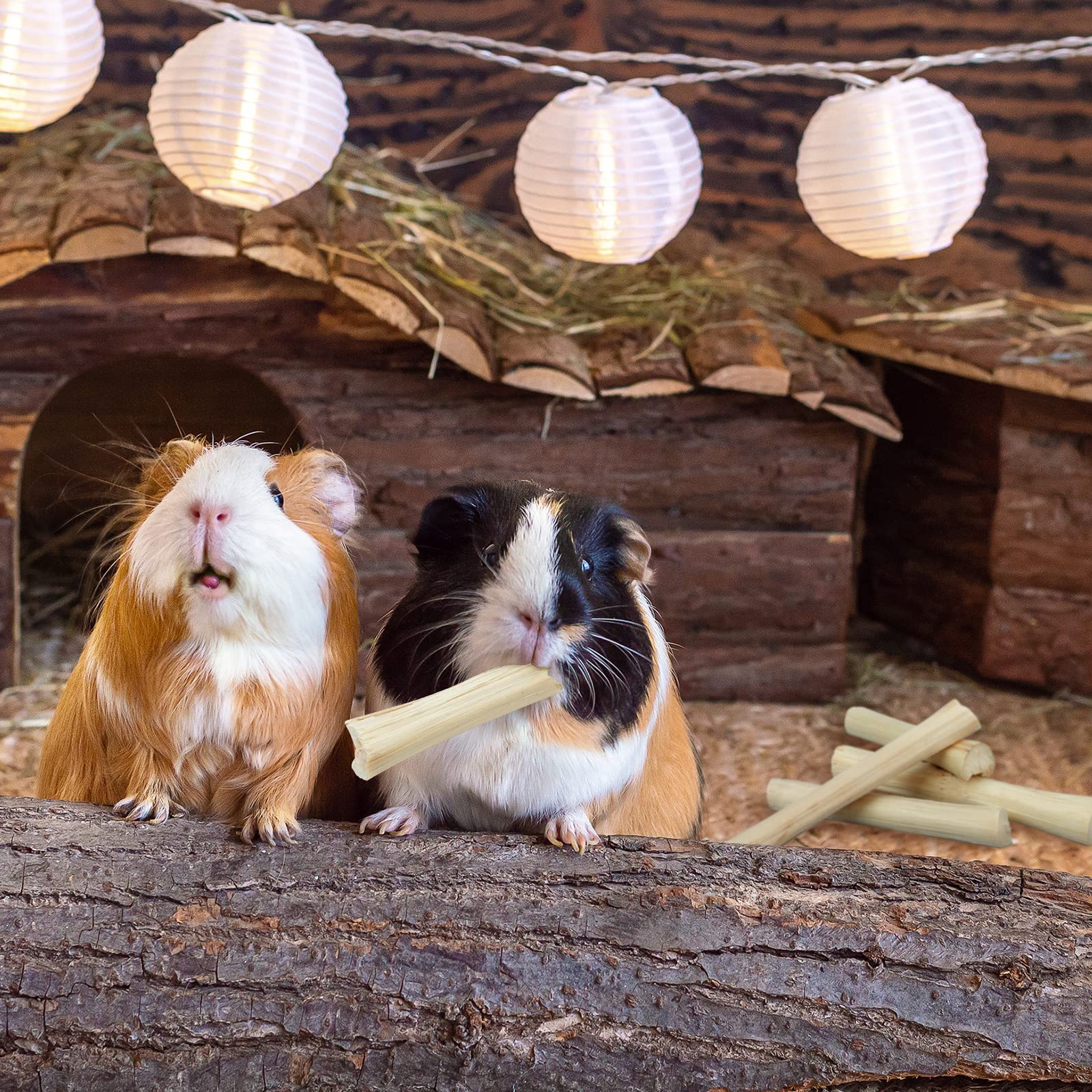 Niteangel bamboo chew toy gift idea for small animals