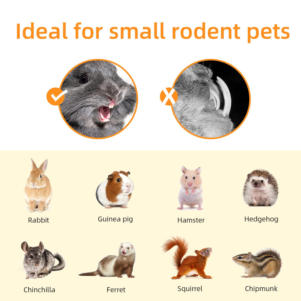 Niteangel bamboo chew toy guinea-pig closeup highlighting safe, additive-free material