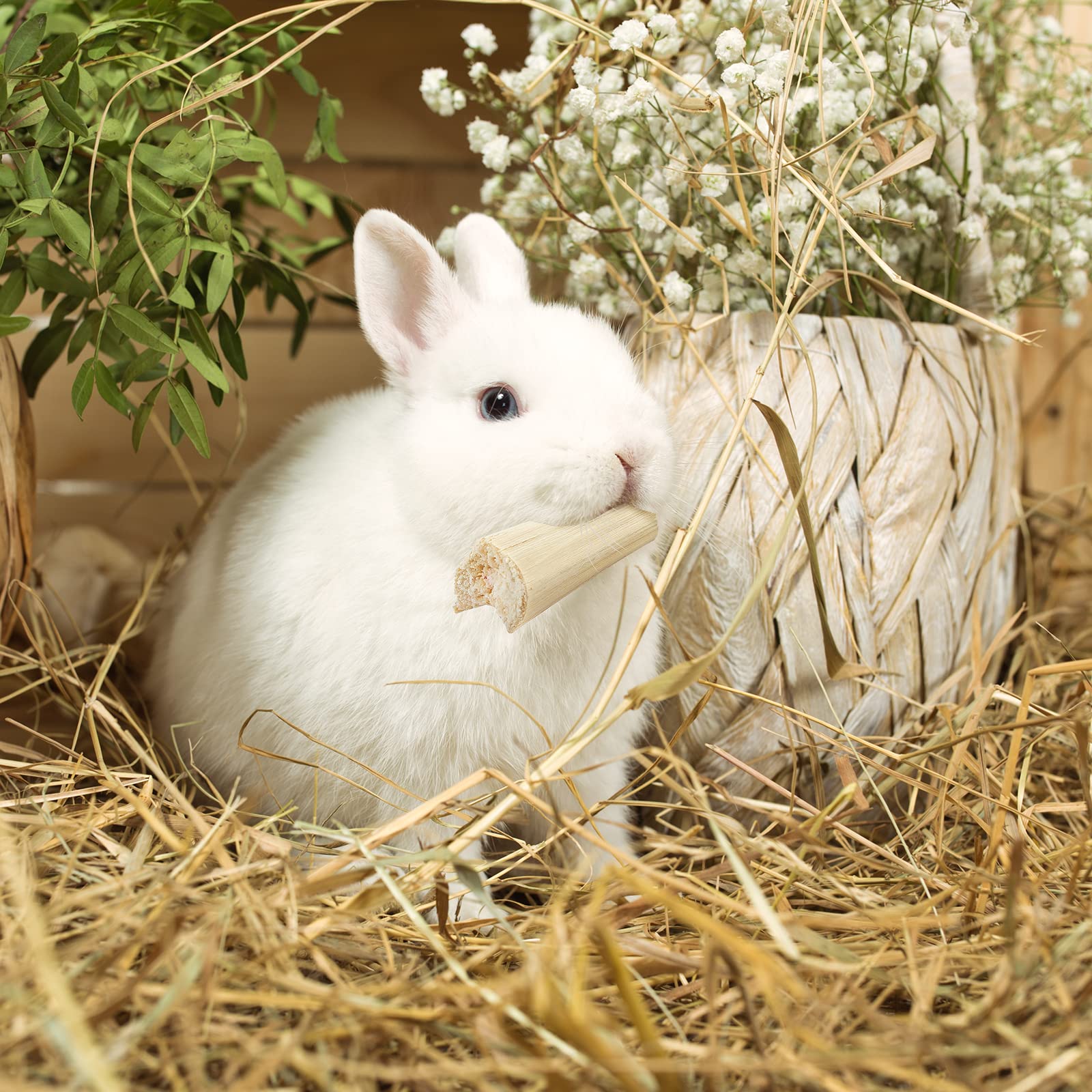 Niteangel bamboo stick storage and portability for small pet owners