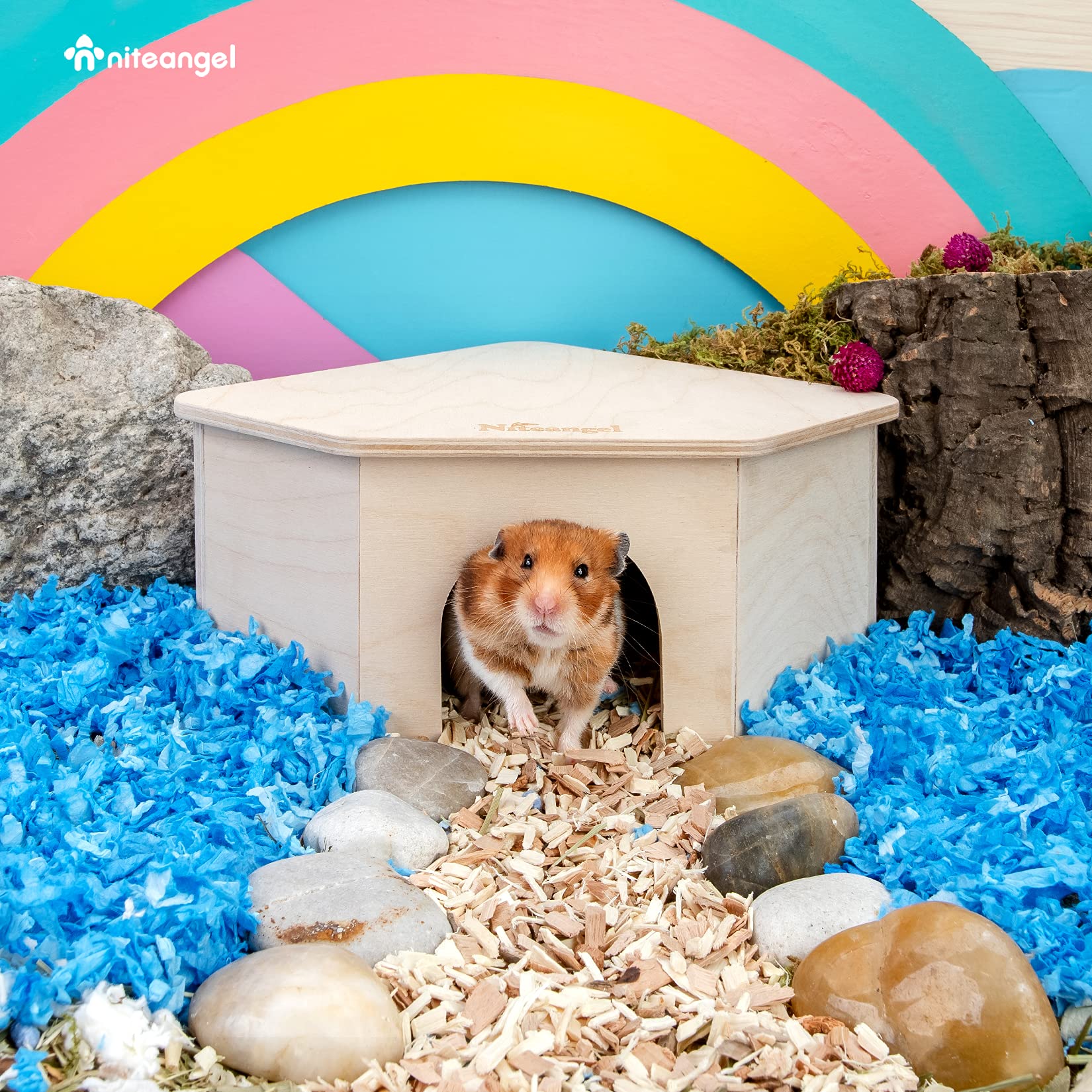 niteangel birch chamber-maze hamster hideout side view highlights the breathable semi-closed cave.