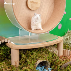 Niteangel cloud-series small platform fit demonstrates wheel compatibility