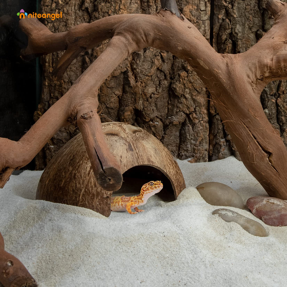 Niteangel coconut hideout smooth surface for safe handling