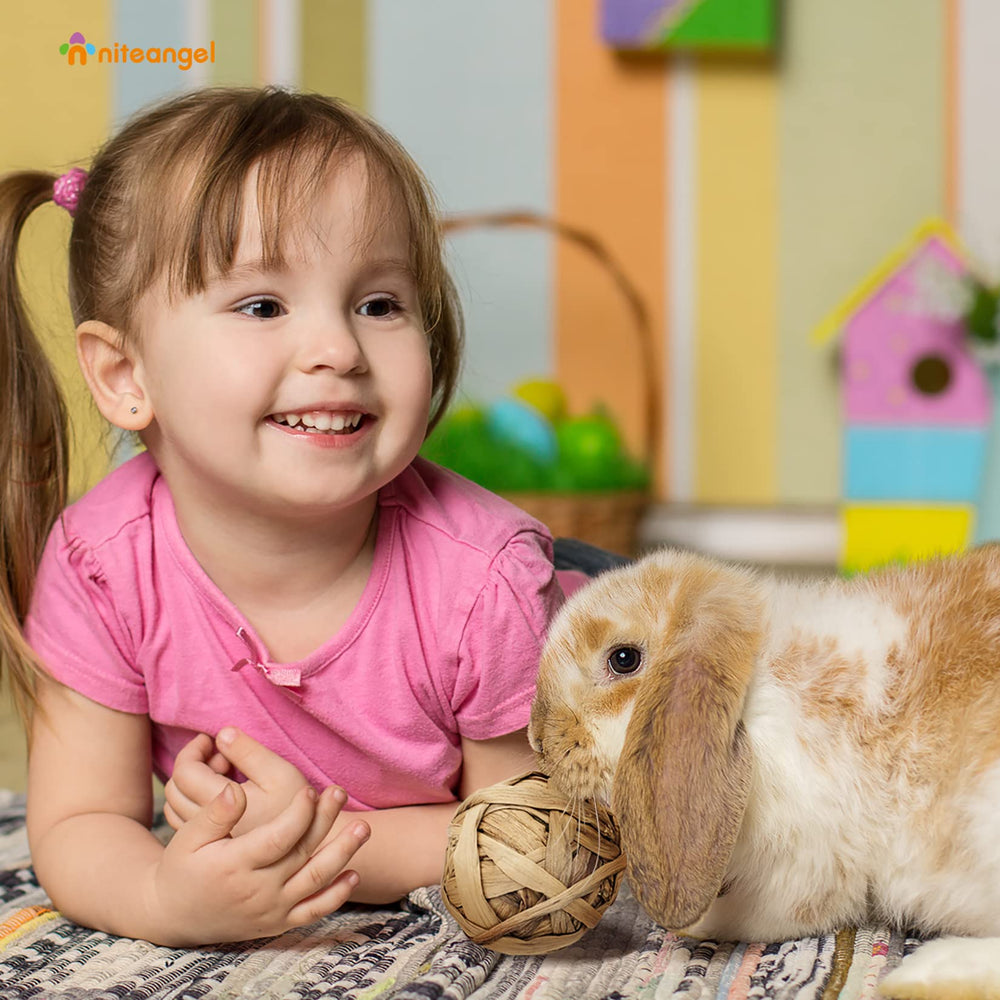 Niteangel corn-husk chew balls suit small animals and introduce gentle chewing.
