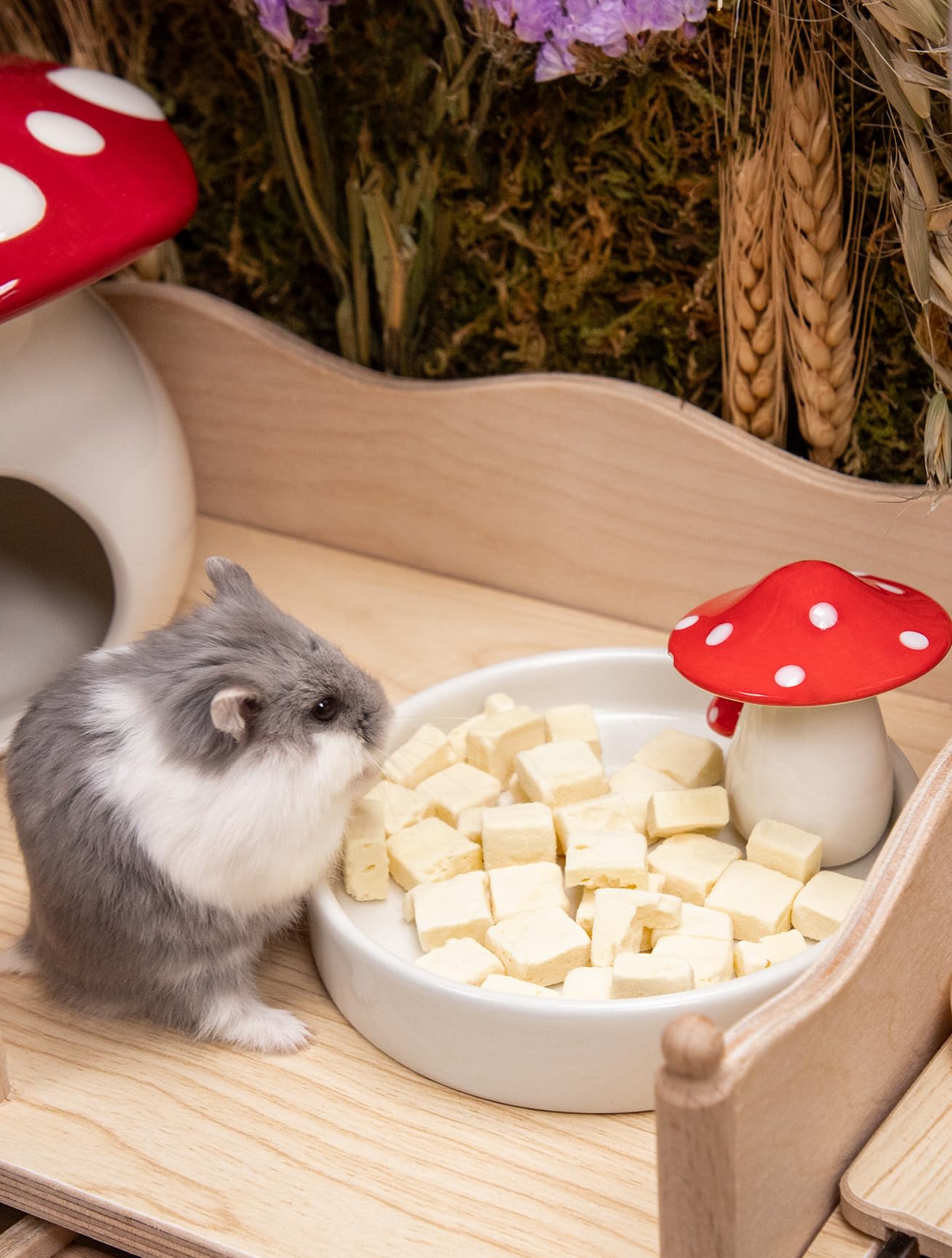 Niteangel durable ceramic hamster bowl resists bites while providing a comfortable dining space.