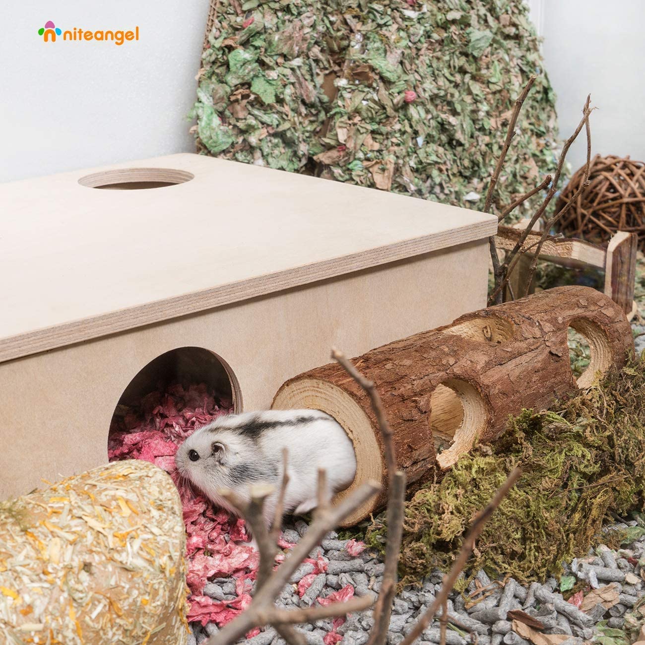 Niteangel dwarf hamster exploration tunnel durable wooden play space