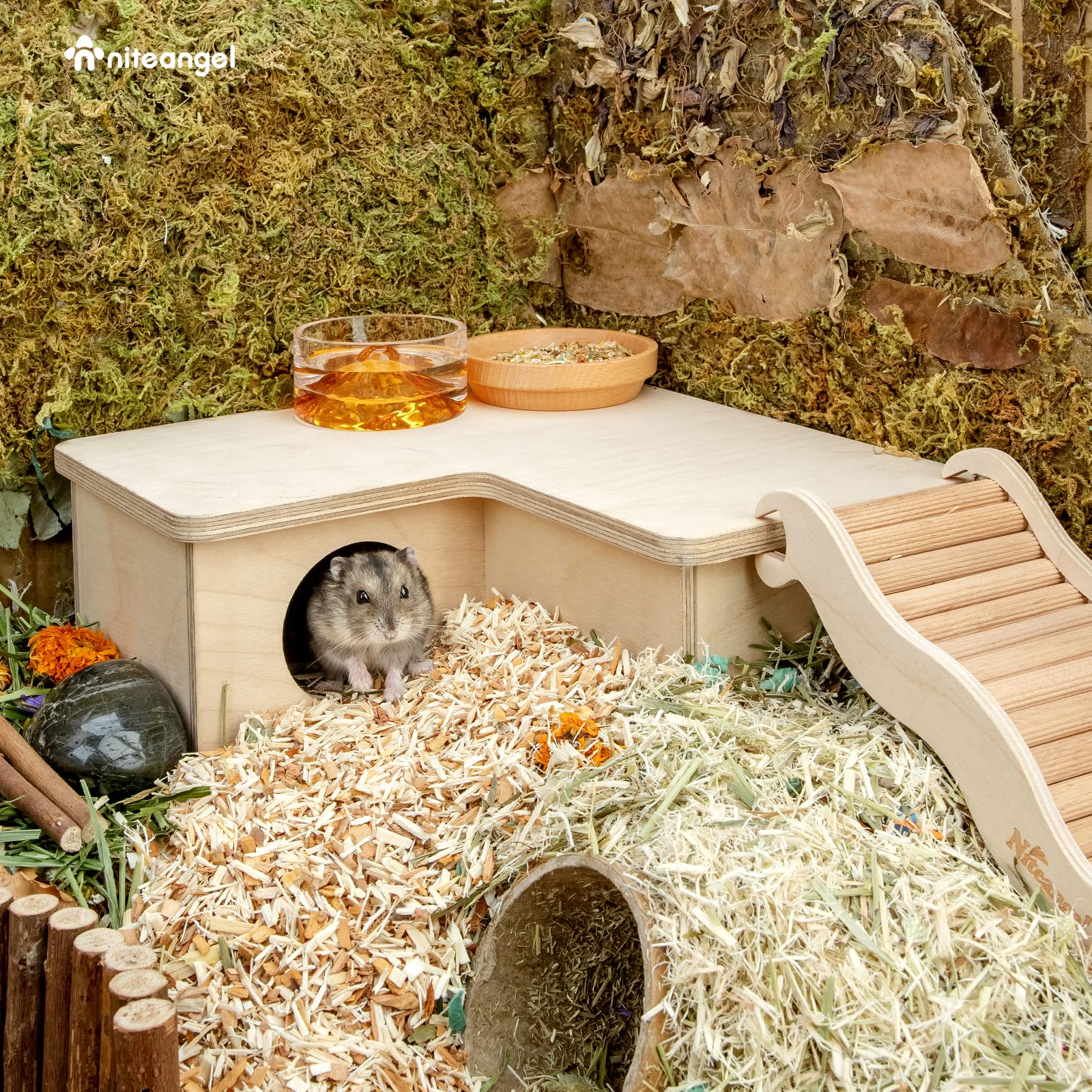Niteangel compact dwarf hamster home sized for small cages and snug fit.
