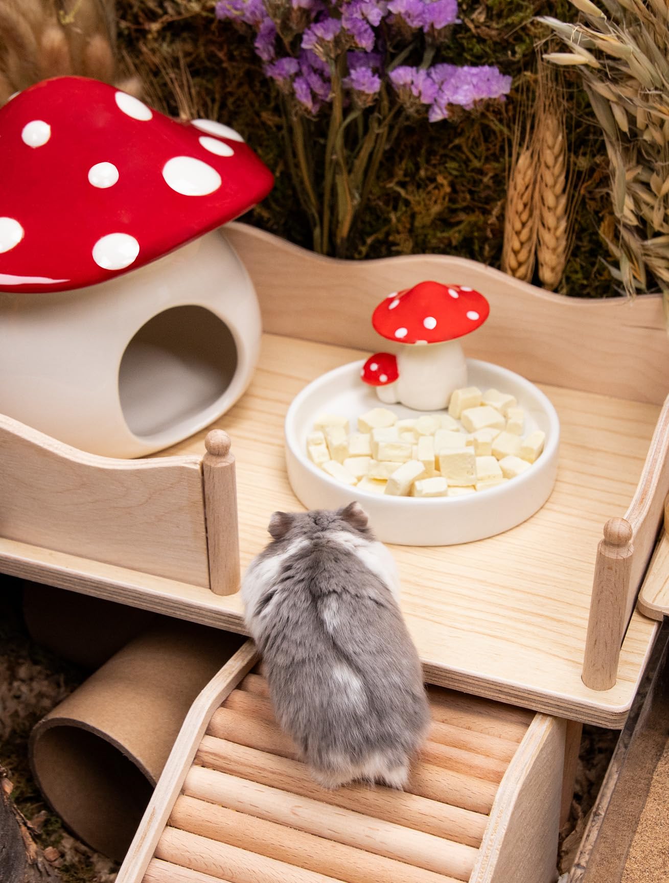 Niteangel easy-clean bowl rinse keeps habitats tidy between mealtimes.