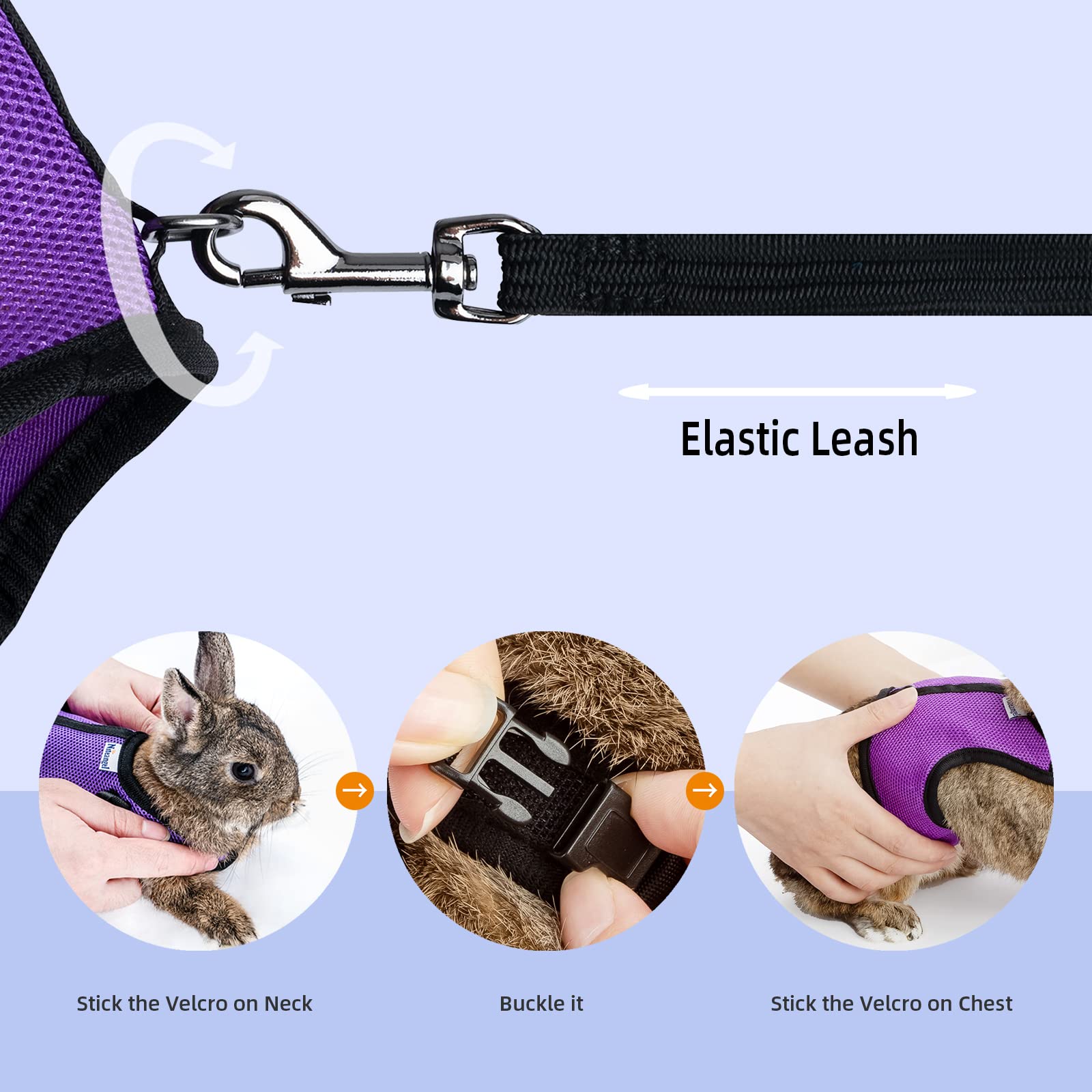 Niteangel elastic leash extended to 250 cm for longer outdoor play.