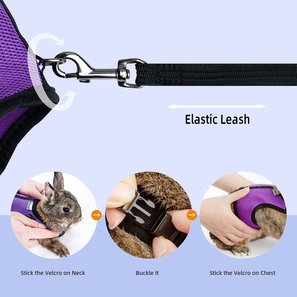 Niteangel elastic leash extended to 250 cm for longer outdoor play.