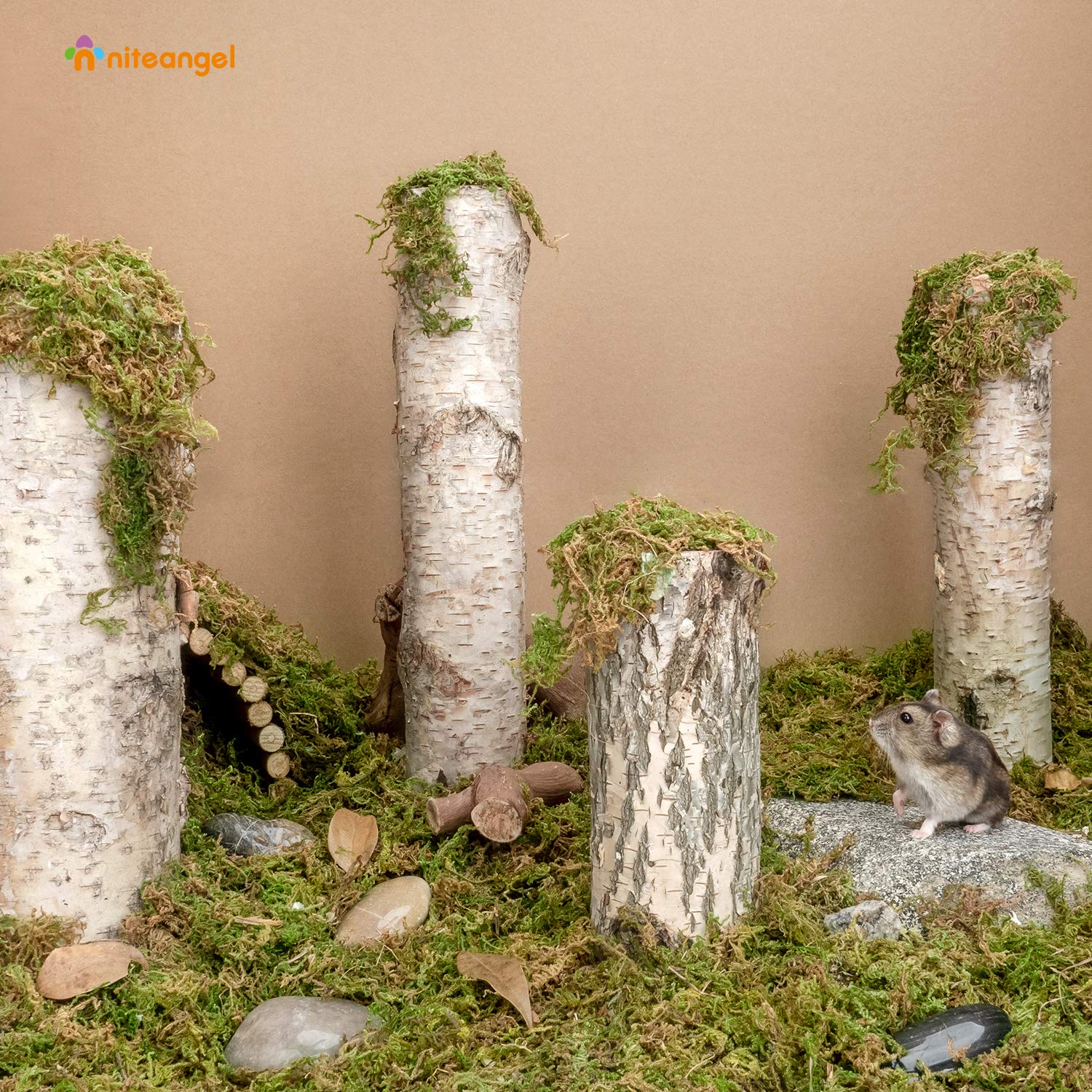 Niteangel forest moss bedding close-up texture highlighting moisture absorption