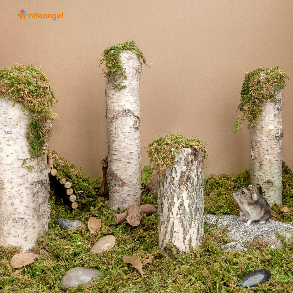 Niteangel forest moss bedding close-up texture highlighting moisture absorption